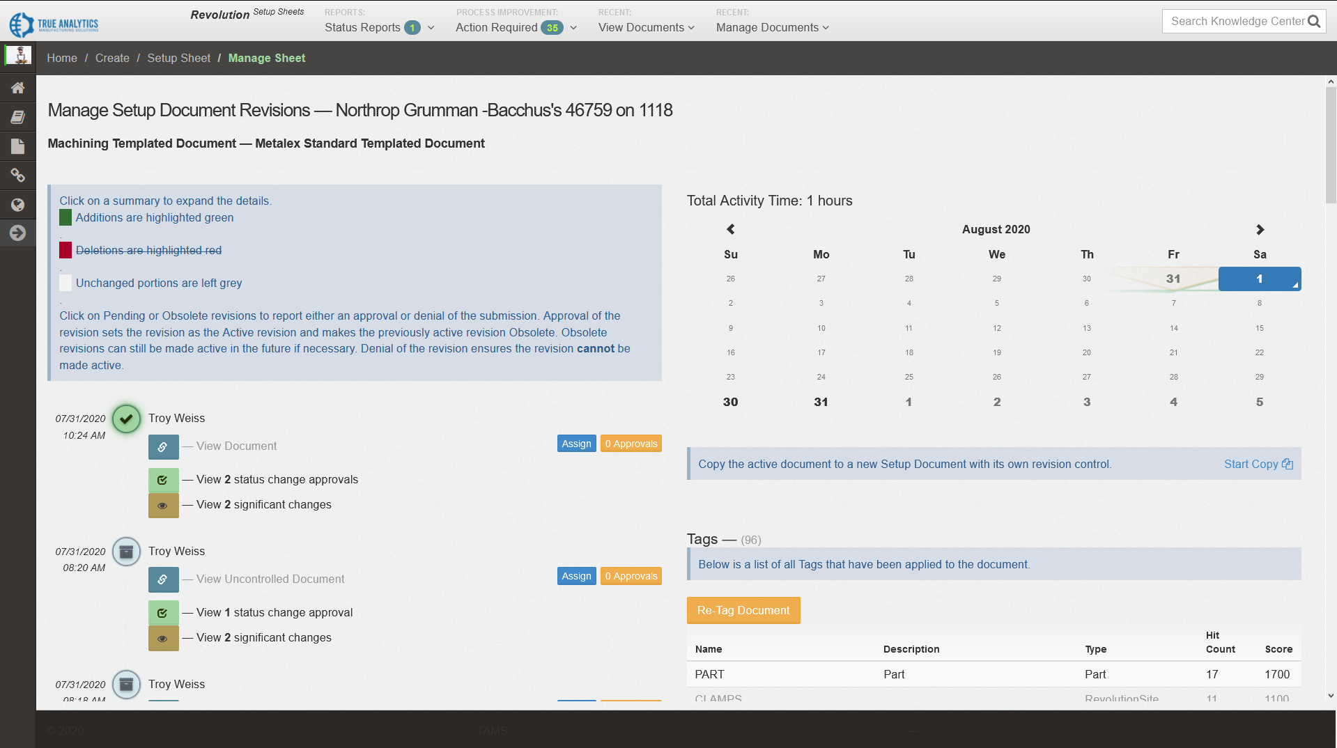 Revision control panel for digital process documentation